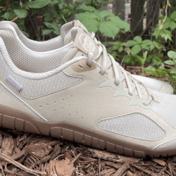 lems primal eco review