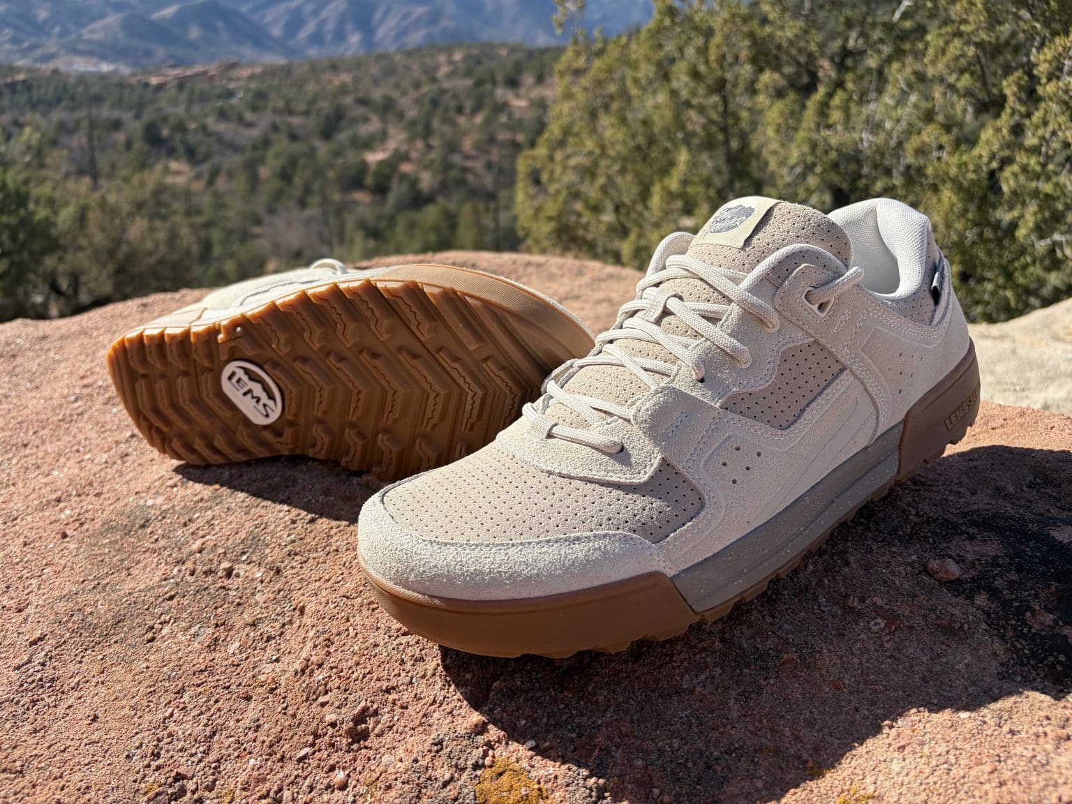 lems trail thrasher review