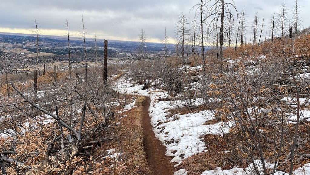 A trail running trail with mud and snow