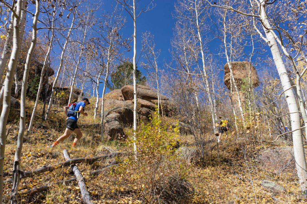 Eric runs the trail through a stand of nearly finished Aspen.