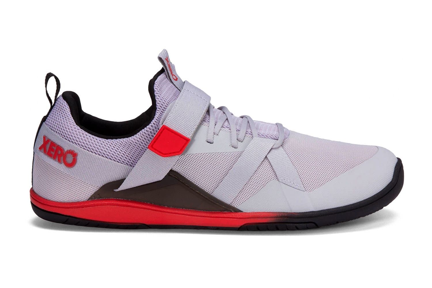 xero forza trainer red review