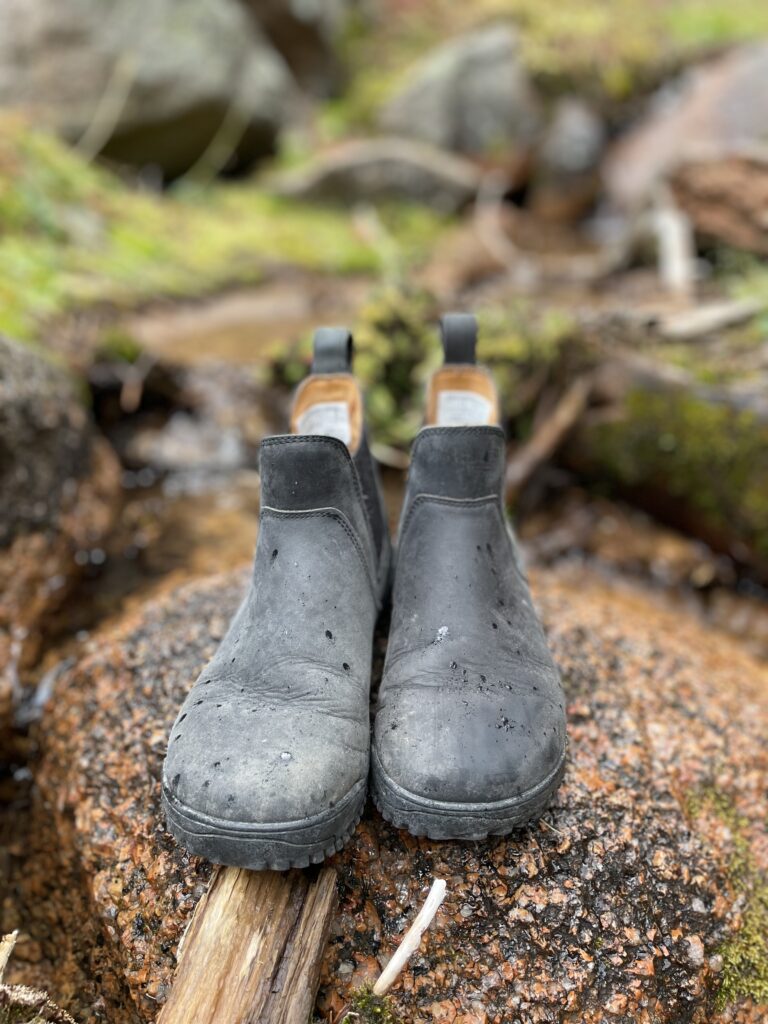xero shoes ridgeway chelsea boot women front